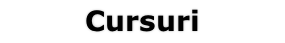 Cursuri
